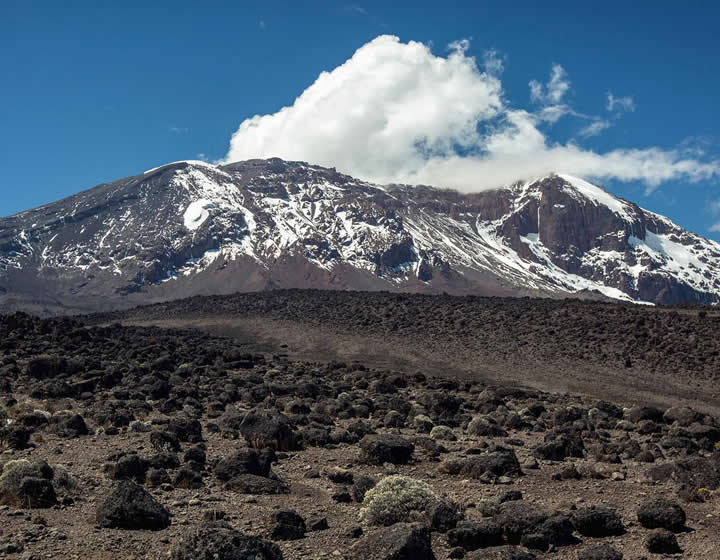 8 days mt kilimanjaro trek